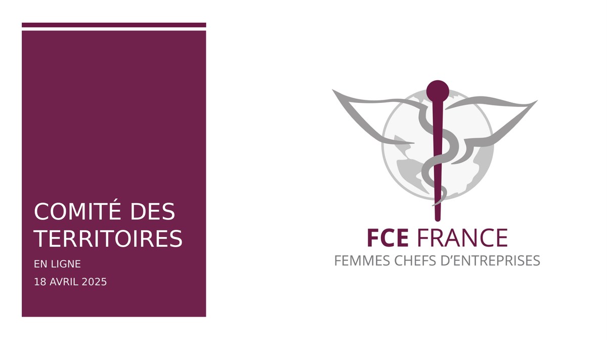 Comité des Territoires, 18 avril 2025, en visioconférence